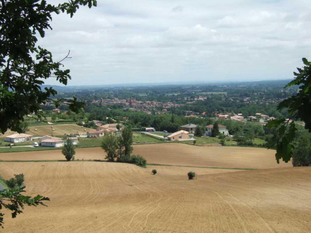 1 Rabastens vu depuis Puichival